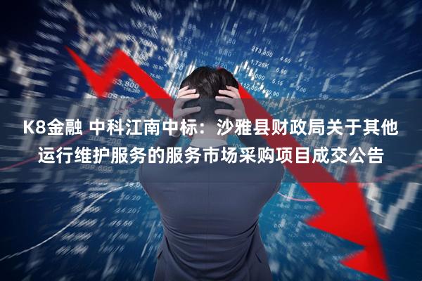 K8金融 中科江南中标：沙雅县财政局关于其他运行维护服务的服务市场采购项目成交公告