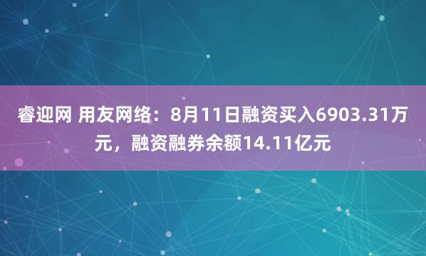 睿迎网 用友网络：8月11日融资买入6903.31万元，融资融券余额14.11亿元